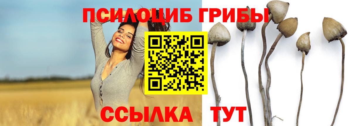 Псилоцибиновые грибы GOLDEN TEACHER Ишим